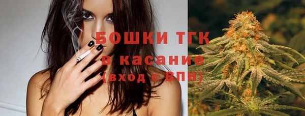 амф Козловка