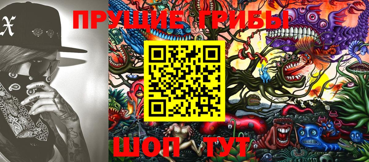 Котовск  купить   Вход с VPN  Псилоцибиновые грибы ЛСД 
